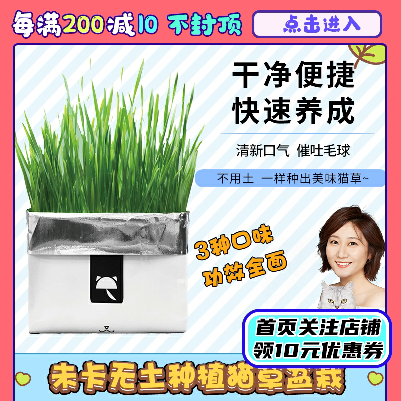 Miss Spring Vetreska Soil-free planting cat grass Potted hair hydroponic cat catnip grass