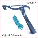 Высокие ветви, резка высоких поэта