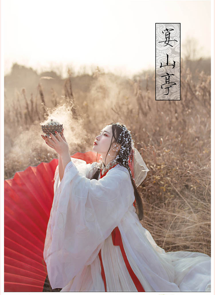 Hanfu rental (banquet pavilion) Extreme Lefemale Weijin Wind Immortals Fairy Air White Embroidered neckline Skirt Big Sleeves 1Y0030