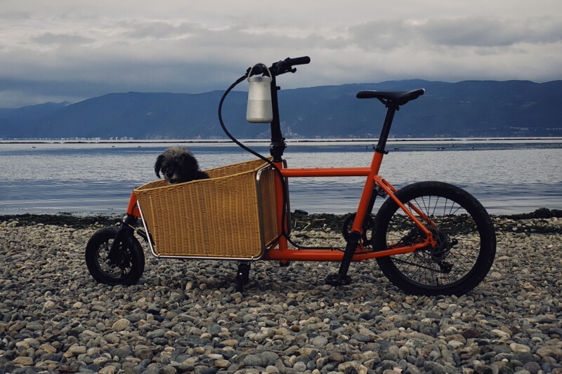 Cargo Bike, Freight Bike, Kaka All-Purpose Bike