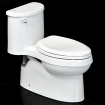  Kohler K-5171T-CM-0 4983-CM-0 Adele five-stage cyclone green energy one-piece toilet