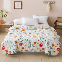Summer cool quilt cotton double single summer dormitory cotton machine washable spring and autumn comfortable skin-friendly air conditioning quilt thin quilt