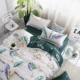 Chăn tấm trải giường gồm 2 tấm chăn che hai bộ hai bộ vỏ gối đôi giá chăn điện hàn quốc