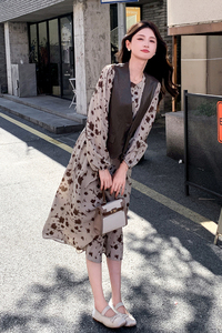 法式复古桔梗碎花连衣裙套装女2025春秋季新款显瘦洋气马甲两件套图片