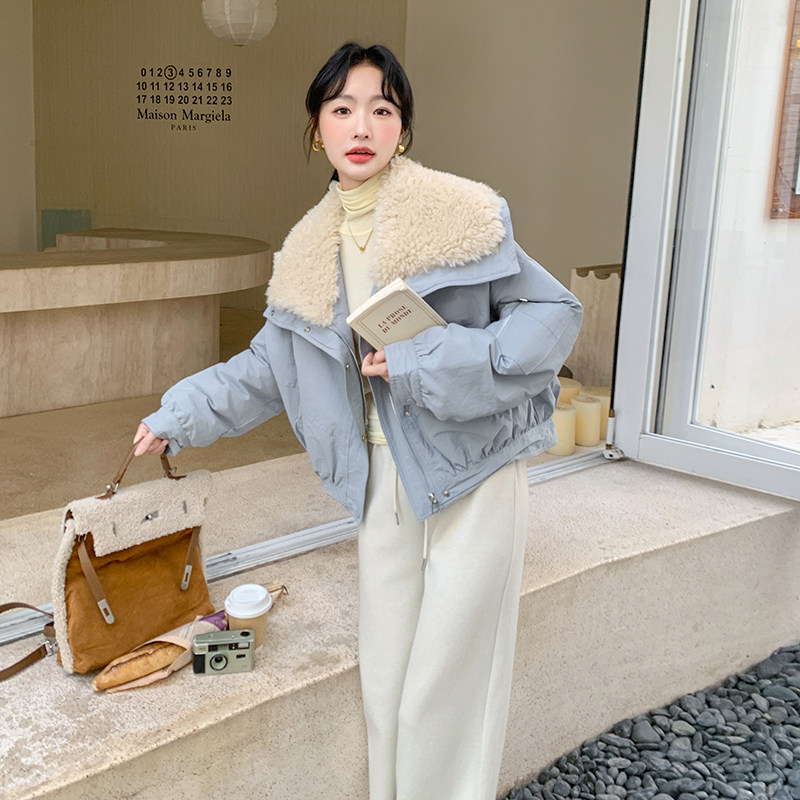 蓝色羊羔毛大翻领短款羽绒服女冬季韩系减龄超好看加厚白鸭绒外套图片