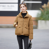 短款立领羽绒服女2025年冬季新款宽松休闲文艺复古冬天保暖外套，女装羽绒服，蓝朵琳