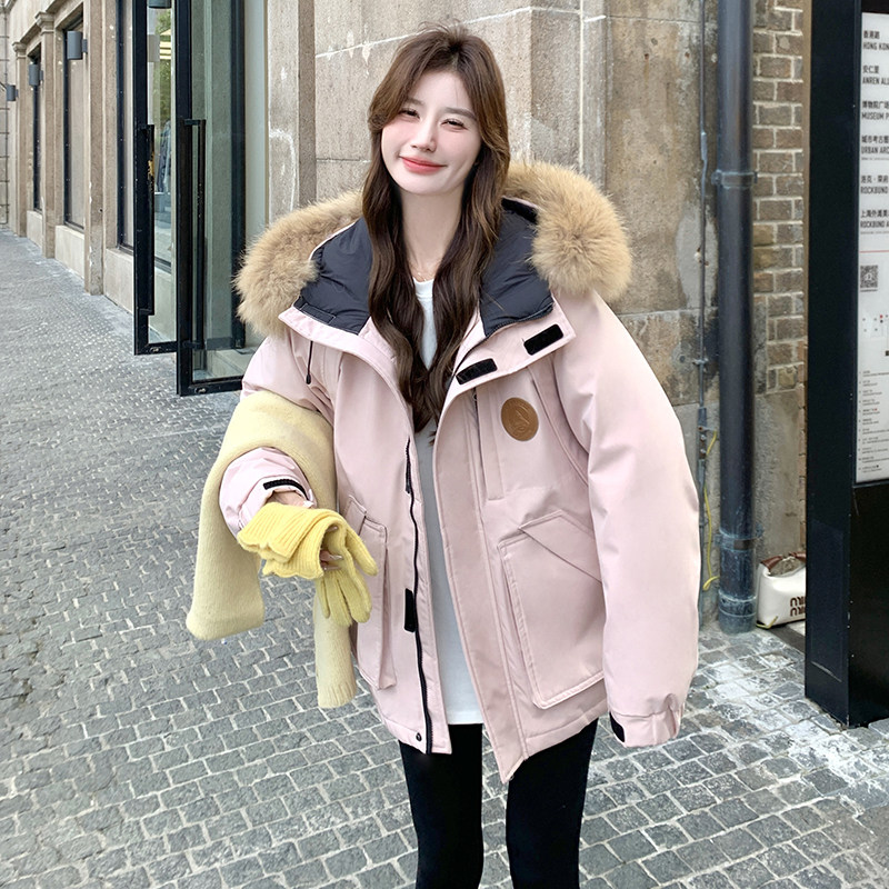 新品   羽绒服  50图片