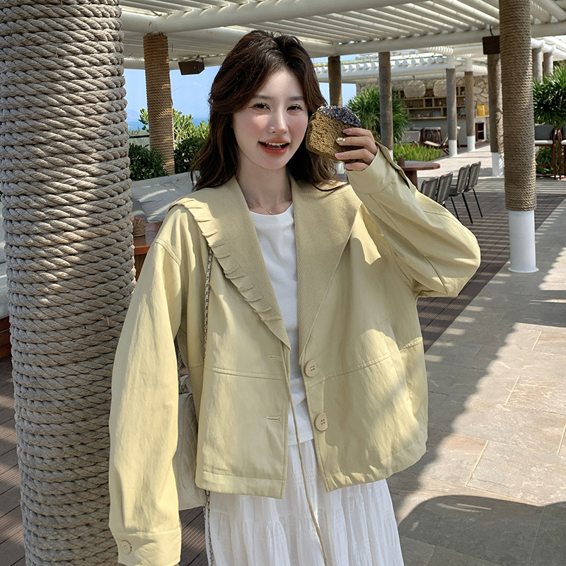 洋翻领针外织披肩皮套女2025秋季新新学院风高级感小个子短款上衣,女装皮衣,衣珂纱朗