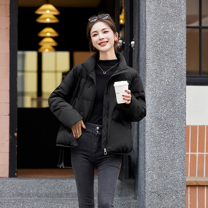 短款立领羽绒服女2025年冬季新款宽松休闲文艺复古冬天保暖外套,女装羽绒服,蓝朵琳