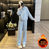 时尚休闲运动套装女春新款洋气减龄气质拉链连帽卫衣直筒裤两件套，女装套装/套裙，2C310
