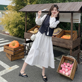 现货D078-T1923-P185K258连衣裙+马甲两件套，女装套装/套裙，2D078