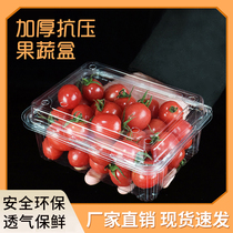 Fruit box disposable transparent plastic box Strawberry box fresh fruit cut box high-grade blueberry box with lid 100 pcs