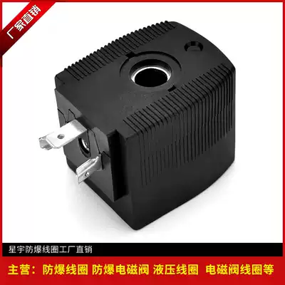 BD new-A Bao De series thermosetting high temperature solenoid valve full copper enameled wire ring factory price sales spot supply
