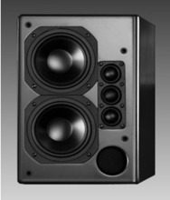 Reich Table F300 Main Channel Speaker (only)