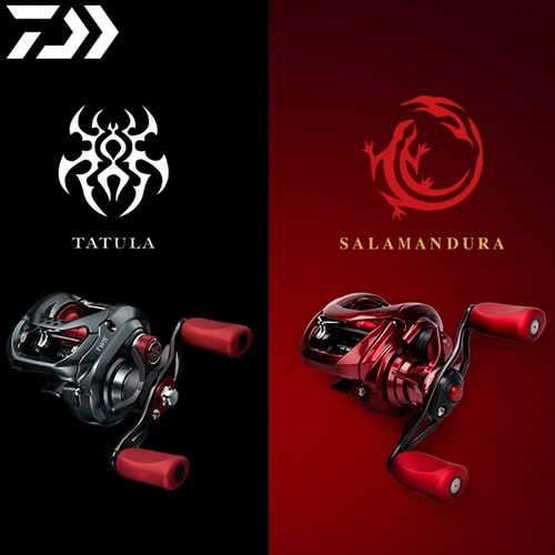 21 Daiwa da 100 миллионов плиточных пожарных ящериц Азиатская дистанционная инвестиция в инвестиции микроавтобусы