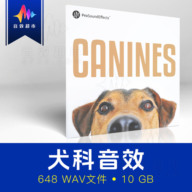 10 Types of Dog Sounds: Running, Drinking, Eating, Barking Sound Effects Pro Sound Effects Canines