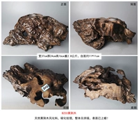 Зеленый B255 Huang Jingmu