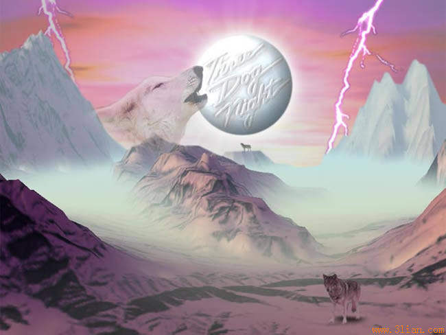 Lunettes 3D - Ref 2623092 Image 10