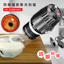 Good shot point LED fill light photo indoor photography constant light photography light lighting pigeon eye photo props