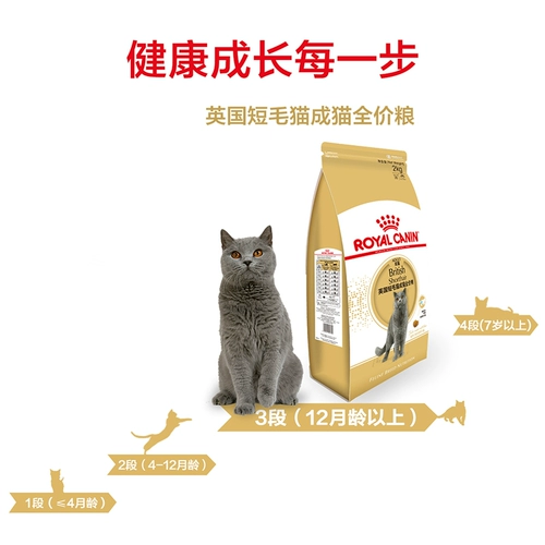 Poch French Royal BS34 % кошачья еда питомец, владелец кота, еда становится кошкой, полное зерно 2 кг британская короткая корма для кошек кошки