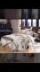 Tsing yi