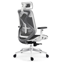 Lumbar spine ergonomic computer chair Healthy butterfly wing bionic home chair Full net breathable boss office swivel chair