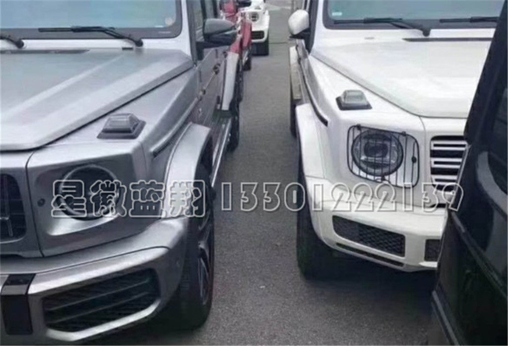 Spot Binz original plant 19 Living room lampshade guard w464 w464 G350 G350 G63 G63 quality assurance 