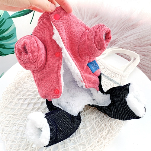 Собачья одежда Весна и осень сгущенного питомца четвероногой одежда Тедди Померанский Шнаузер Бичин Зима теплая маленькая собака