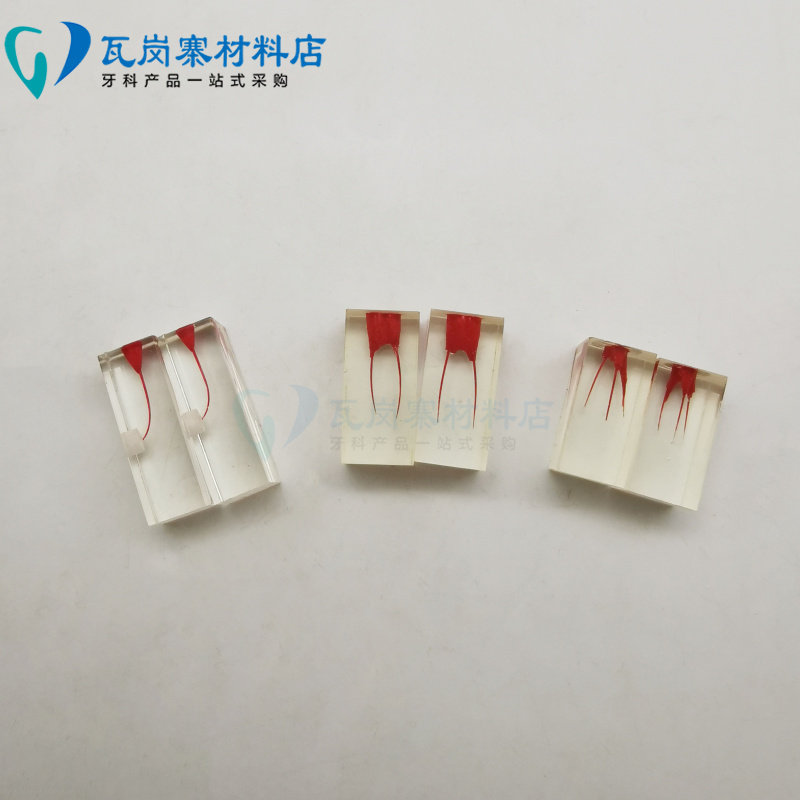 牙科带血管根管练习块模型牙体牙髓透明根管预备充填修复根管包邮