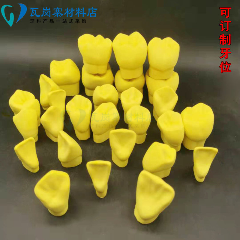 牙科 4倍石膏模型 教学雕牙牙齿模型 磨具 教具 练习雕牙示范包邮