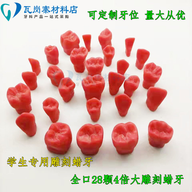 牙科 练习雕刻4倍牙齿蜡块牙粒模型 示范雕刻模型全口4倍蜡牙包邮
