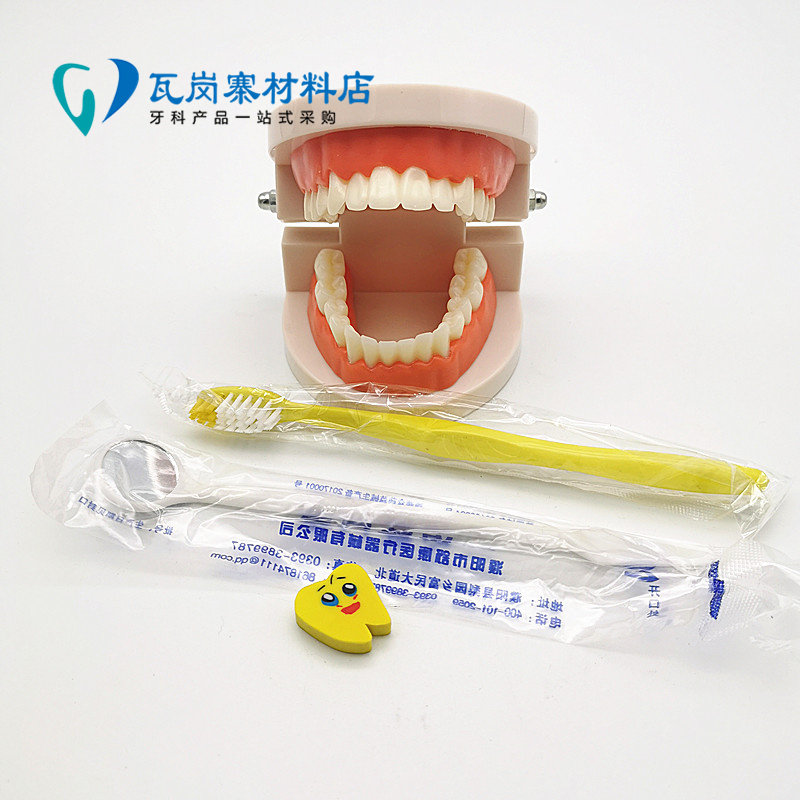 牙科材料标准幼儿园教刷牙模型 蛀牙模型病理 送牙刷口镜橡皮包邮