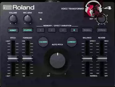 Roland Roland VT-4 vocal effects processor vocoder National Bank spot