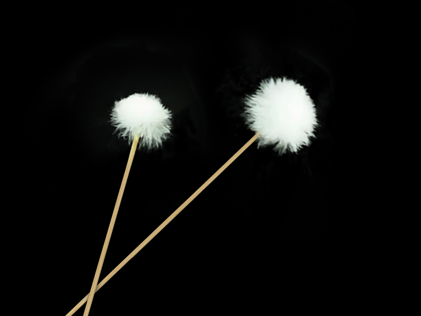 Ear picking tools, ear digging, hand-made goose feather sticks, ear cleaning tools, ear cleaning sticks, thin sticks