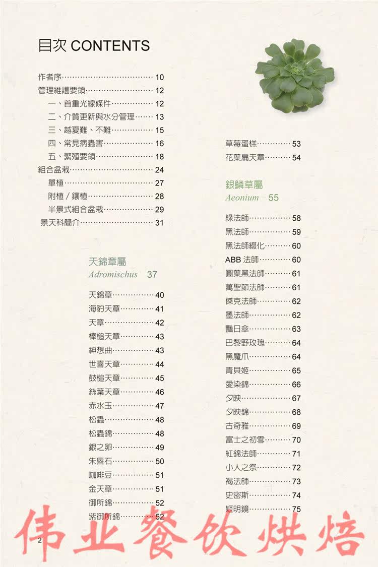 正版多肉植物圖鑑 景天科17 晨星
