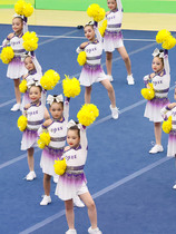 Customized cheerleading competition uniforms cheerleading costumes cheerleading costumes new 24 aerobics costume sets
