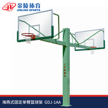 Jinling Sports Adult Haiyan Fixed Single Arm Basketball Stand GDJ-1AA 11233 11256 FIBA Certification