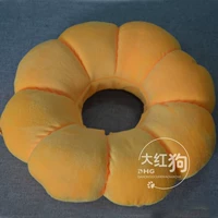 Тыквенный круг