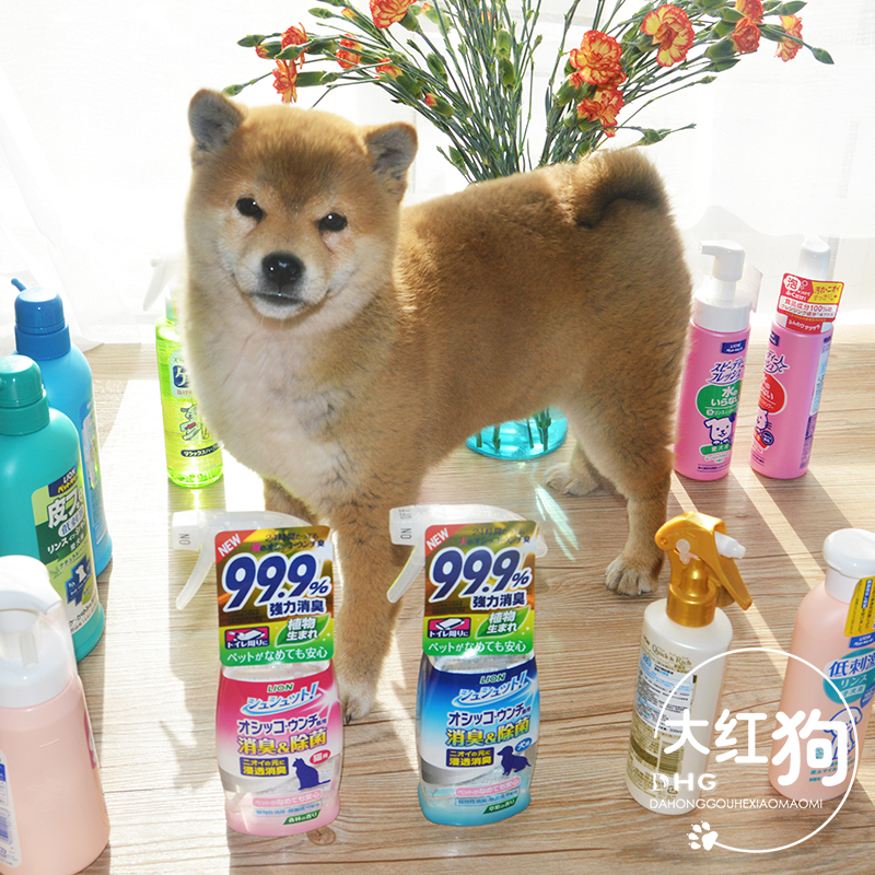 Vua sư tử Nhật Bản LION Ai thú cưng tắm gel cho chó ngoài 蚤 phương pháp tắm chất lỏng cho chó mèo tắm Shiba cho chó - Cat / Dog Beauty & Cleaning Supplies lược chải lông
