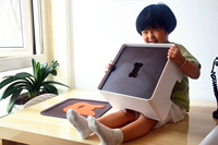 Большой, 27×27×16см