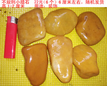 Special price stone natural stone turtle drying platform yellow wax stone original stone climbing platform to avoid hole fish tank landscaping xiaoqing hair color