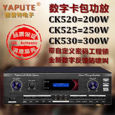 Yapt Professional Digital Card Pack Family Merges Amplifier Karaoke Tsunami Call Effect Functional Amplifier