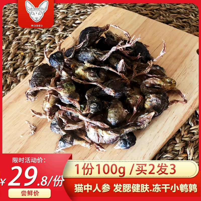 Đồ ăn nhẹ cho mèo và chim cút sấy khô - Đồ ăn nhẹ cho mèo