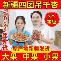 Xinjiang hanging-dried apricot four-pack tree-dried apricots fresh no additives special natural grade dried apricots dried apricots specialty snacks