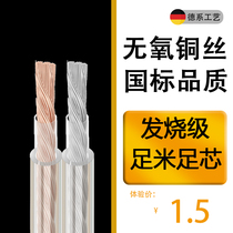  Foot core gold and silver audio cable connecting cable Plug speaker professional audio speaker cable Pure copper home theater public cable