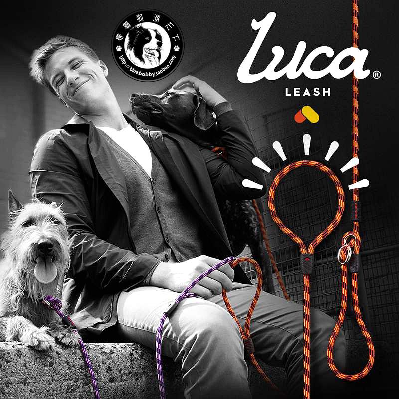 Australian Ezydog Luca Series Pet Leash Dog Leash P Rope Half P Chain Training and Walking Leash