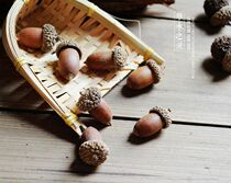 ZAKKA natural acorn pine acorn photo props Micro landscape forest department handmade DIY material Clay felt accessories