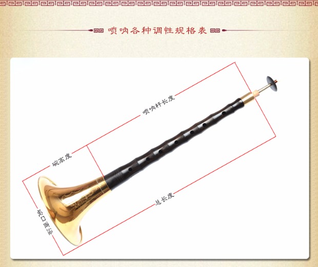 Nhạc cụ chuyên nghiệp chơi mun tiên tiến 唢呐 C / D / E / F / G / drop B để gửi đầy đủ các phụ kiện loa nhạc cụ - Nhạc cụ dân tộc tiêu trúc