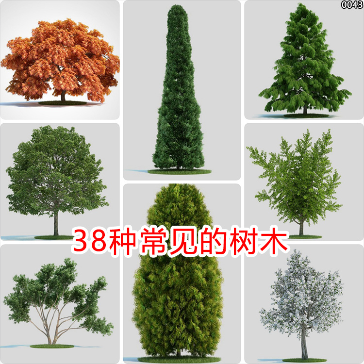 Tree Library Tree Resources Tree Assets 3D Models Plants Willow Maple Pine Ue5/Unity/Blender