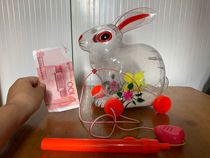 Mid-Autumn Lantern Festival Lantern Transparent Rabbit Lamp Portable Drag Walking Sound Pull Rabbit Lamp Transparent Snow